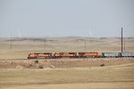 BNSF 8754 leads a southbound train near the Wyoming border